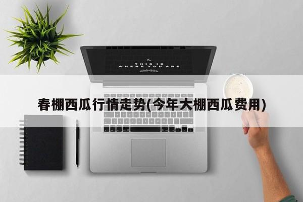春棚西瓜行情走势(今年大棚西瓜费用)