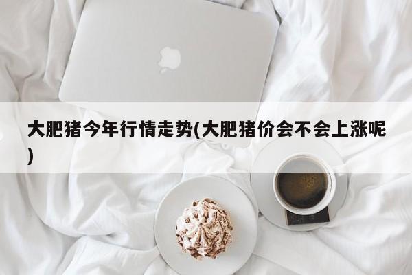 大肥猪今年行情走势(大肥猪价会不会上涨呢)