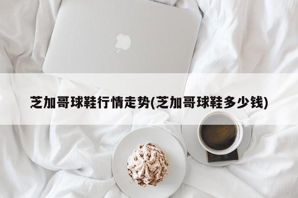 芝加哥球鞋行情走势(芝加哥球鞋多少钱)